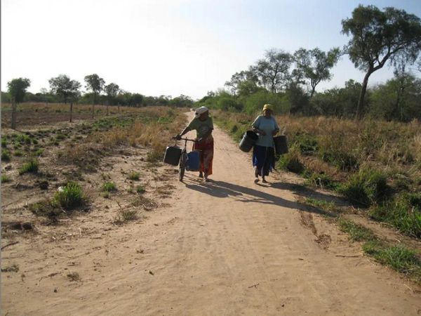 Sequía en el Chaco continuará hasta mediados de setiembre