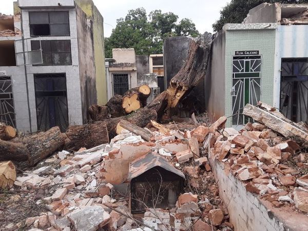 Caída de árbol destroza panteones en el Cementerio del Este - Nacionales - ABC Color