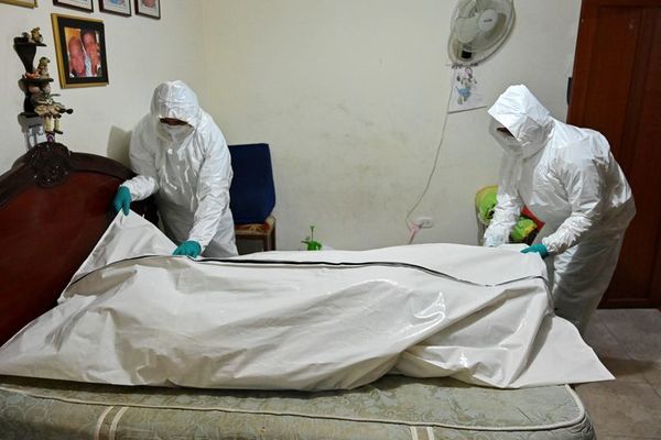 La OMS cree que el coronavirus no es un virus estacional - Mundo - ABC Color