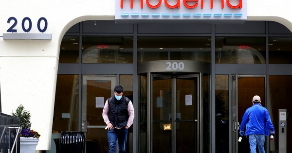 Vacuna contra COVID-19 probada en monos dio resultados alentadores