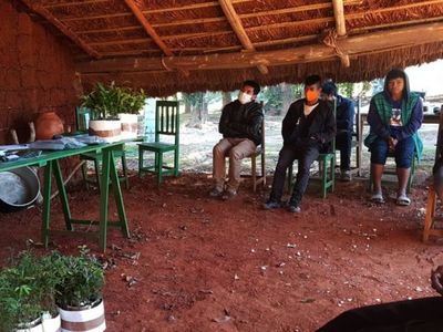 Comunidades indígenas se suman a la reforestación en el Alto Paraná