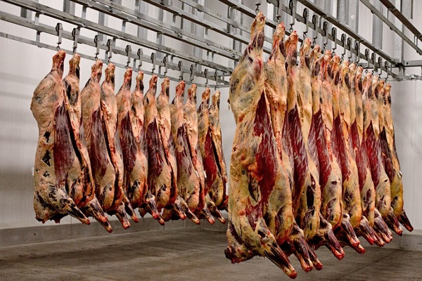 Chile frenó la demanda de carne pero se cerraron negocios a precios alcistas