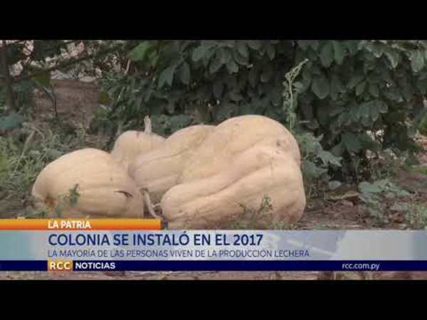 COLONIA SE INSTALÓ EN EL 2017