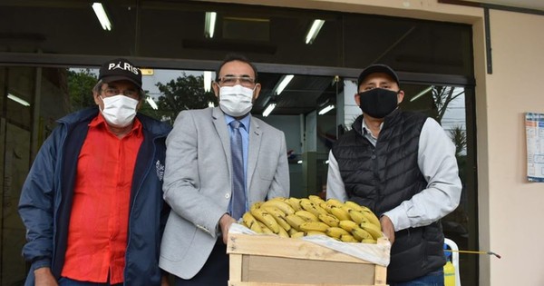 Cien productores de banana de San Pedro recibirán asistencia crediticia