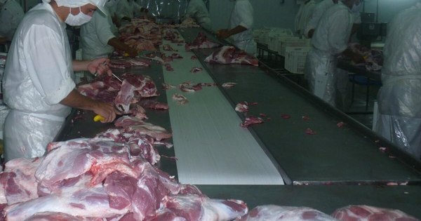 Productores de cerdo piden apoyo del Gobierno para volver a exportar