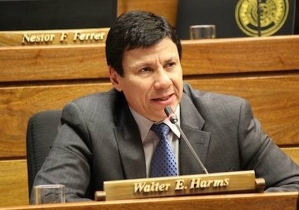 Walter Harms sobre caso Friedmann: "Es miserable robar el almuerzo escolar" - ADN Paraguayo