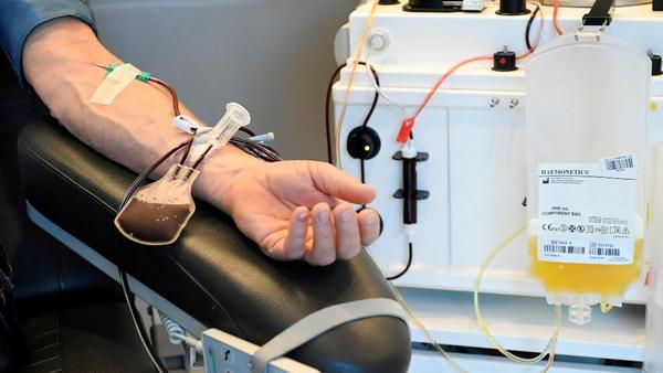 Piden a recuperados de coronavirus donar plasma – Diario TNPRESS