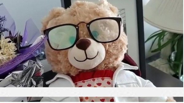 Para recuperar un oso de peluche se ofrece platal | Crónica