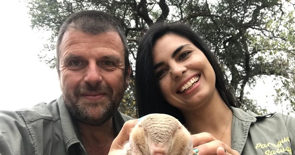 “Paraguay Salvaje” capta a pichiciego, una de las especies más misteriosas del mundo