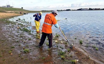 El río Paraguay sigue bajando - Nacionales - ABC Color