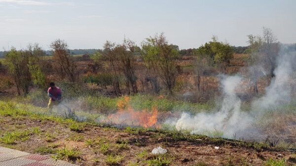 Sofocan incendio de pastizal en la Costanera Norte
