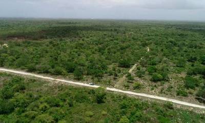 Bolivia da por controlado un fuego que quemó 40.000 hectáreas de área natural » Ñanduti
