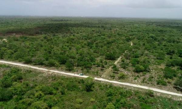 Bolivia da por controlado un fuego que quemó 40.000 hectáreas de área natural » Ñanduti