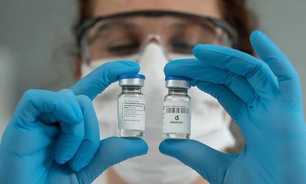 Argentina inicia un ensayo clínico con suero equino hiperinmune en enfermos de la covid-19 – Prensa 5