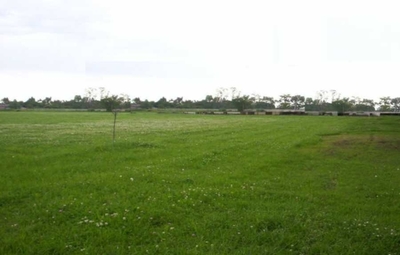 URBA Inmobiliaria lanza loteamiento “Asturmancha Este” en José Falcón » Ñanduti