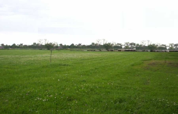 URBA Inmobiliaria lanza loteamiento “Asturmancha Este” en José Falcón » Ñanduti