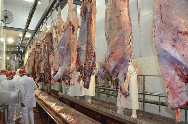 Rabinos que llegaron al país para la faena kosher se contagiaron de COVID - Nacionales - ABC Color