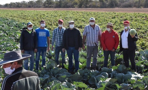 Destacan buena producción de hortalizas en plena sequía en Picada 500