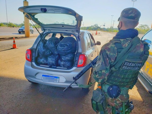 Requisan 40 kilos de marihuana en Guaíra - Noticde.com