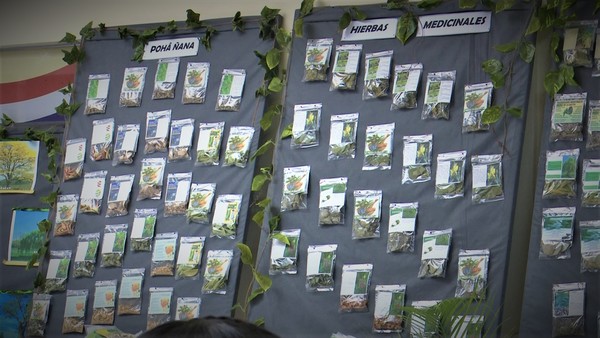 Lanzan exposición de plantas medicinales del Chaco en la gobernación de Boquerón