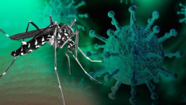 Confirman cinco casos de "Covidengue", uno resultó fatal