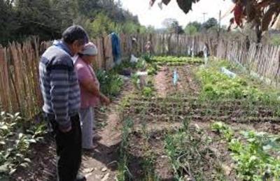 El Gobierno entregará aportes no reembolsables a familias vulnerables de Alto Paraná - Noticde.com