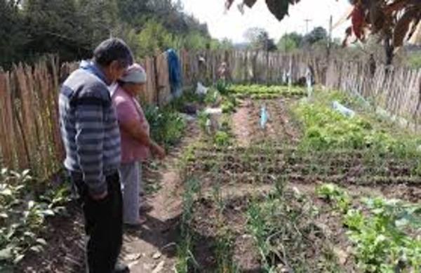 El Gobierno entregará aportes no reembolsables a familias vulnerables de Alto Paraná - Noticde.com
