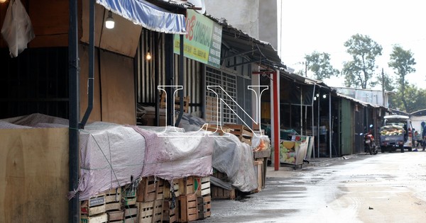 Reportan 2 nuevos casos positivos de coronavirus en el Mercado de Abasto