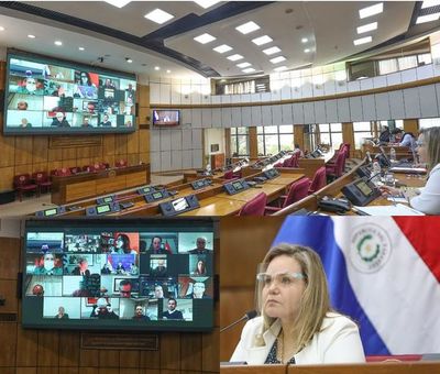 Embajadores piden aceptar veto a ley que aumenta margen de preferencia en compras públicas - Nacionales - ABC Color