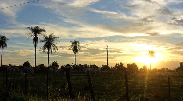 Jornada fresca a cálida para este sábado | Noticias Paraguay