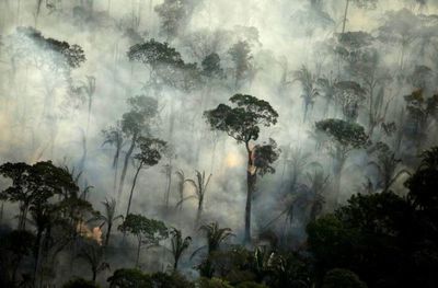 Incendios en la selva amazónica de Brasil aumentan en julio; analistas advierten de escenario peor
