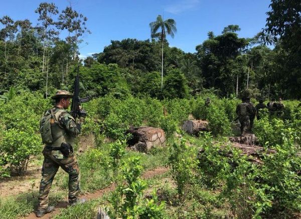 Perú rechaza reporte de EEUU que advierte repunte de producción de cocaína