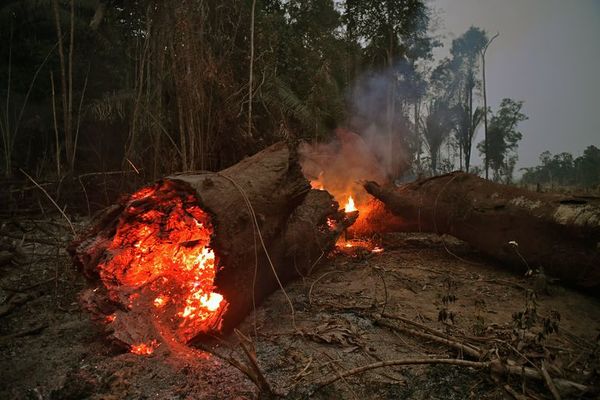 Incendios en la Amazonía brasileña aumentan en julio - Mundo - ABC Color