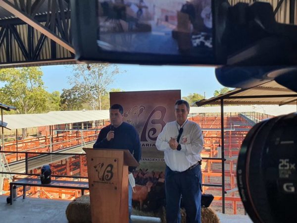 Bpecuaria comercializó el 100% de la oferta en su feria de invernada televisada