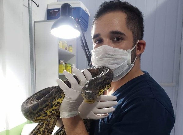 Doctor Kuriju: “La gente tiene miedo de ellas sin razón”, he’i | Crónica