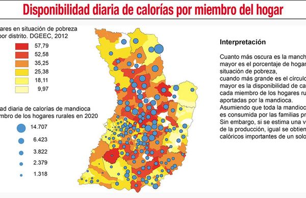 Agricultura familiar y seguridad alimentaria en tiempos de covid en el Paraguay - Económico - ABC Color