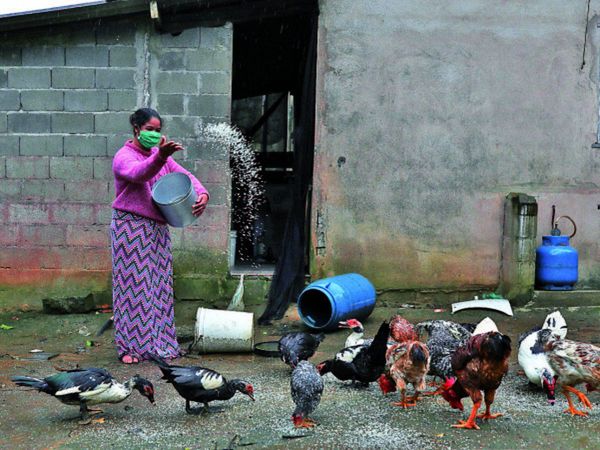 América Latina podría superar con éxito la pandemia, según expertos