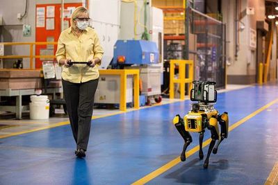 Ford recurre a perros robot - Tecnología - ABC Color