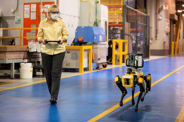 Ford recurre a perros robot - Tecnología - ABC Color