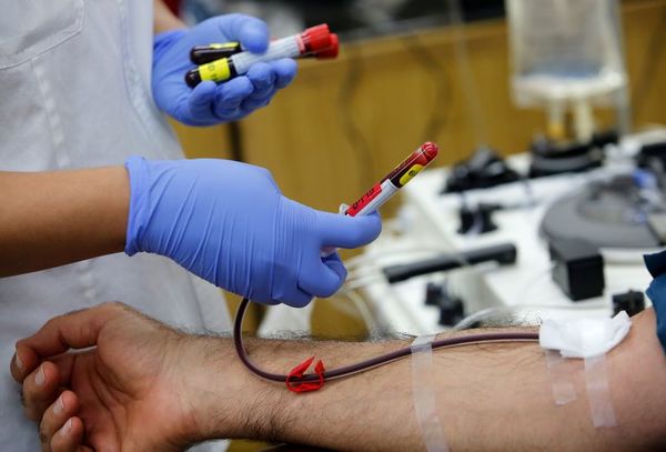 Hubo donantes y prevén iniciar tratamiento con plasma de recuperados de COVID esta semana - Nacionales - ABC Color