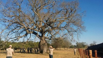 Se buscan “colosos” en el departamento Central | Crónica