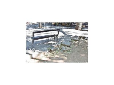 Plaza céntrica De la Libertad, deslucida ante falta de mantenimiento municipal