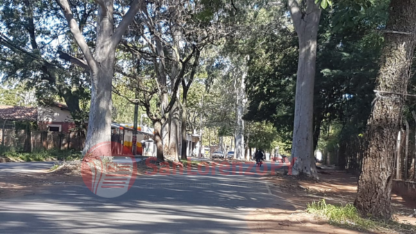 Capilla del Monte: Voltearan árboles por pedido de vecinos » San Lorenzo PY