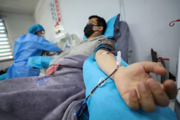 Instan a pacientes recuperados a donar su plasma para tratar a pacientes con COVID-19 - Nacionales - ABC Color