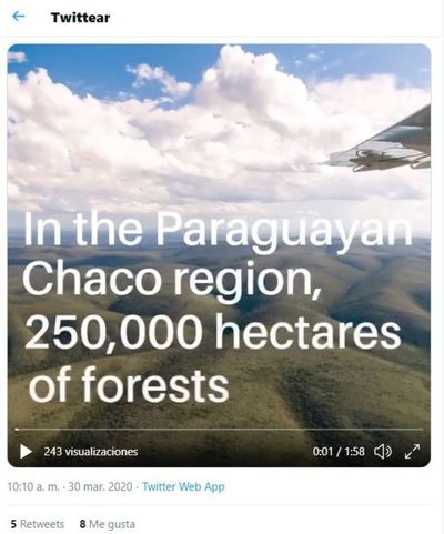 Critican tuit de Banco Holandés sobre deforestación en el Chaco - Nacionales - ABC Color