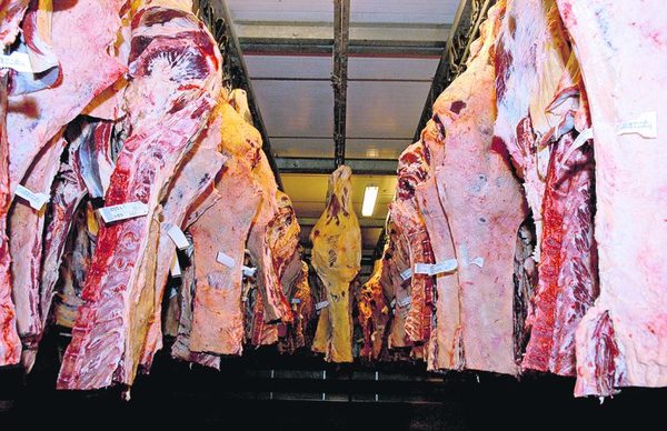 Chile compró más carne bovina paraguaya pero a menor precio, en el primer semestre