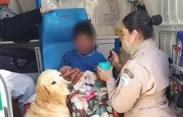 Perros no abandonaron a un niño que fue encontrado luego de 19 horas de desaparecido