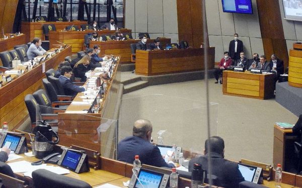 Cámara de Diputados ko’êrõ ohesa’ÿijo voto censura mburuvicha ANDE-guápe - ABC Remiandu - ABC Color