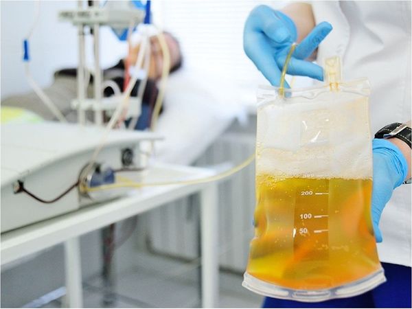 Covid-19: ¿Cómo es el tratamiento con plasma convaleciente?