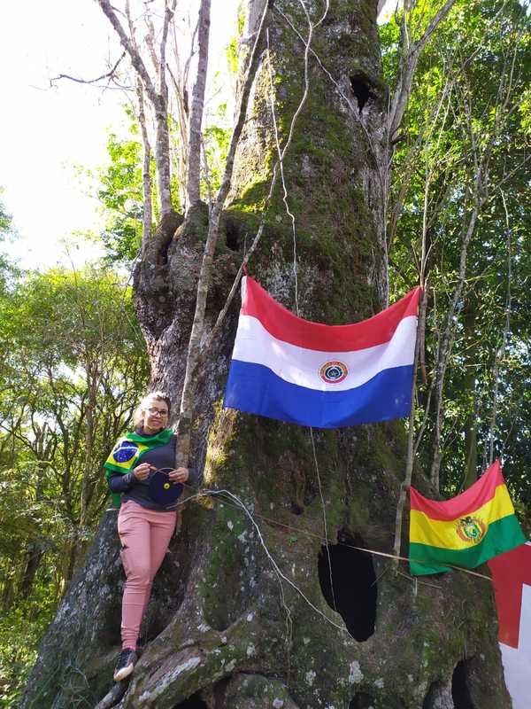 "Colosos de la Tierra" marca récord con 597 árboles inscriptos » Ñanduti